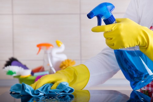 Professional pet stain and odour removal for Hounslow carpets