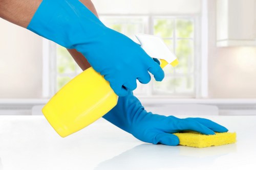 Regular cleaning service for homes in Hounslow