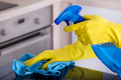 Professional oven cleaning service for Hounslow homes and apartments
