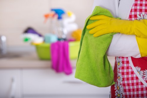 Professional cleaners working in a home in Hounslow