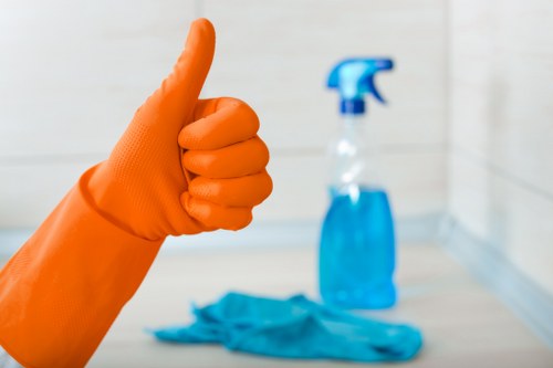 Detailed bathroom cleaning for a move-out property in Hounslow