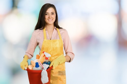 Oven cleaning service for landlords, tenants, and businesses in Hounslow