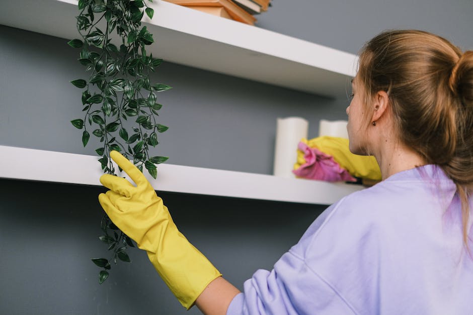 A woman wearing yellow rubber gloves is engaged in surface cleaning inside a modern room with gray walls. She is holding a green leafed artificial plant while standing near white recessed shelves, which hold some fabric or paper materials in yellow and pink. The room features a minimalist design with smooth, clean surfaces and abundant natural or soft lighting, reflecting a focus on hygiene and meticulous maintenance. This scene illustrates the detailed sanitisation and domestic cleaning process, highlighting the importance of surface care, dust removal, and visual cleanliness, consistent with the services offered by Cleaners Hounslow as described on their website about hidden cleaning charges in Hounslow.